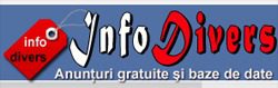 InfoDivers logo