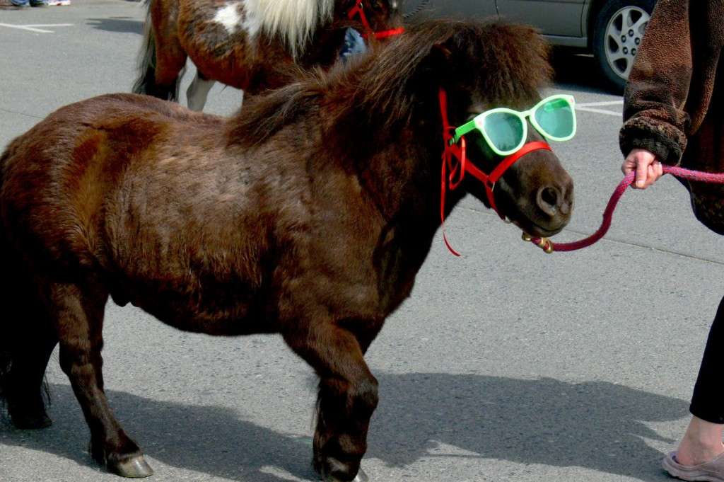 Bizonii s-au saturat sa le spuna sclavii altora cum sa vada lumea