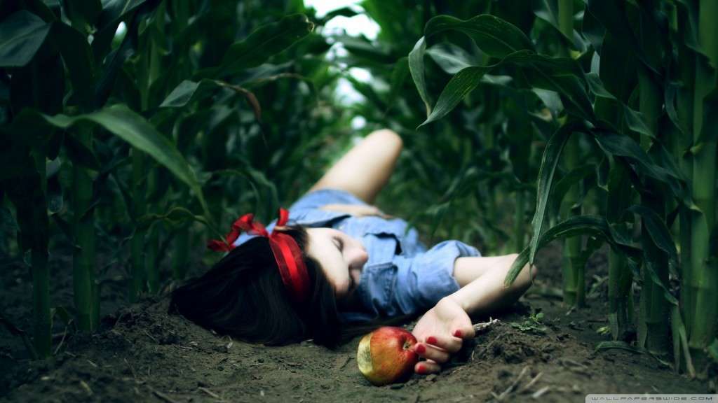 Dreapta românească în timpul aratului, semănatului şi al mărului otrăvit