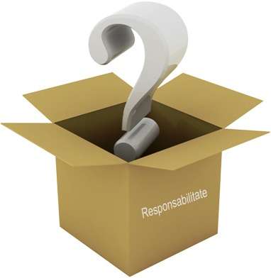 Responsabilitate: rasplata si valoare