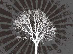 Trepte, valori si echilibru